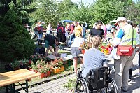 Bild: Sommerfest der Nordth&uuml;ringer Lebenshilfe