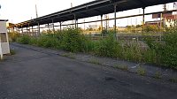 Bild: Beobachtungen am Gleis zwischen Ellrich und Nordhausen