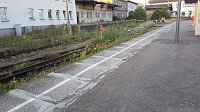 Bild: Beobachtungen am Gleis zwischen Ellrich und Nordhausen