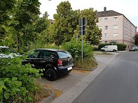 Bild: Mangelnde Pflege am August-Bebel-Platz