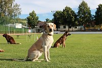 Bild: Blaulicht-Tag in Auleben