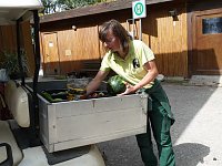 Bild: Spende f&uuml;r den B&auml;renpark