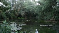 Bild: Fledermauswanderung an der Salzaquelle