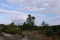 Bild: Unterwegs in Questenberg