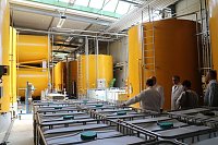 Bild: Ministerpr&auml;sident Bodo Ramelow zu Besuch bei Nordbrand Nordhausen