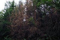 Bild: Peter Blei an der Hasselvorsperre