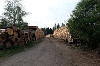 Bild: Peter Blei an der Hasselvorsperre