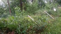 Bild: Vandalismus im Park Hohenrode