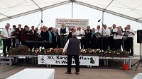 Bild: 30. S&uuml;dharzer S&auml;ngertreffen