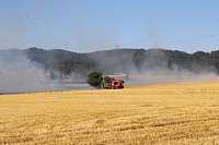 Bild: Gro&szlig;brand zwischen Ellrich und Werna