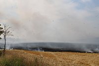 Bild: Gro&szlig;brand zwischen Ellrich und Werna