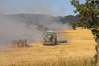 Bild: Gro&szlig;brand zwischen Ellrich und Werna