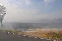 Bild: Gro&szlig;brand zwischen Ellrich und Werna