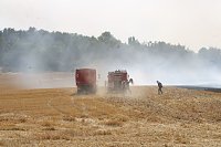 Bild: Gro&szlig;brand zwischen Ellrich und Werna