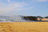 Bild: Gro&szlig;brand zwischen Ellrich und Werna