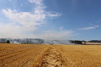 Bild: Gro&szlig;brand zwischen Ellrich und Werna
