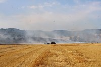 Bild: Gro&szlig;brand zwischen Ellrich und Werna
