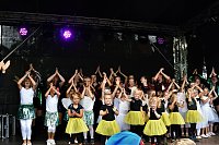 25. Altstadtfest Bild: 25. Altstadtfest