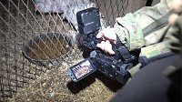 Bild: Tierschutzorganisation erhebt Vorw&uuml;rfe gegen Hundez&uuml;chterin aus Bleicherode