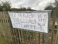 Bild: Tierschutzorganisation erhebt Vorw&uuml;rfe gegen Hundez&uuml;chterin aus Bleicherode