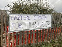 Bild: Tierschutzorganisation erhebt Vorw&uuml;rfe gegen Hundez&uuml;chterin aus Bleicherode