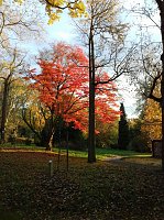 Indian summer Bild: Indian summer