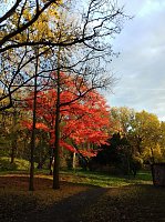 Indian summer Bild: Indian summer