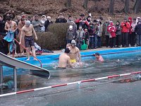 Bild: Neujahrsbaden in Neustadt