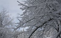 Bild: Bilder vom Brocken