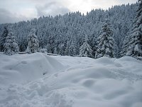 Bild: Bilder vom Brocken