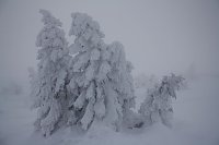 Bild: Bilder vom Brocken