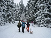 Bild: Bilder vom Brocken