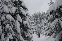 Bild: Bilder vom Brocken