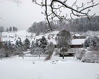 Bild: Schnee in Friedrichsrode