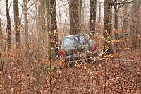 auto im Wald Bild: auto im Wald