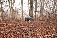 auto im Wald Bild: auto im Wald
