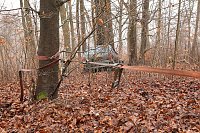 auto im Wald Bild: auto im Wald