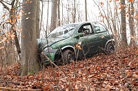 auto im Wald Bild: auto im Wald