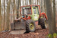 auto im Wald Bild: auto im Wald