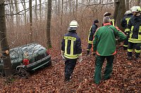 auto im Wald Bild: auto im Wald