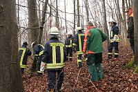 auto im Wald Bild: auto im Wald