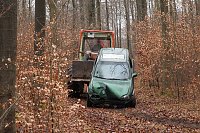 auto im Wald Bild: auto im Wald