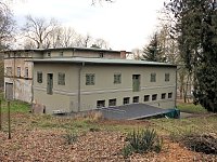 Bild: Winterlinge im Februar