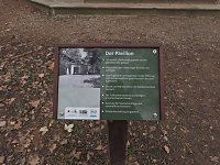 Bild: Winterlinge im Februar