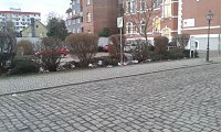 Bild: M&uuml;ll in der Stadt