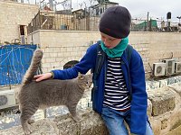 Bild: Besuch der Gedenkst&auml;tte Yad Vashem und Spaziergang durch die Jerusalemer Altstadt