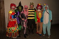Bild: Salzaer N&auml;rrinnen und Narren feierten im Jugendclubhaus