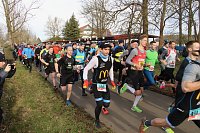Bild: 42. Albert-Kuntz Lauf