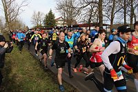 Bild: 42. Albert-Kuntz Lauf