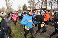 Bild: 42. Albert-Kuntz Lauf